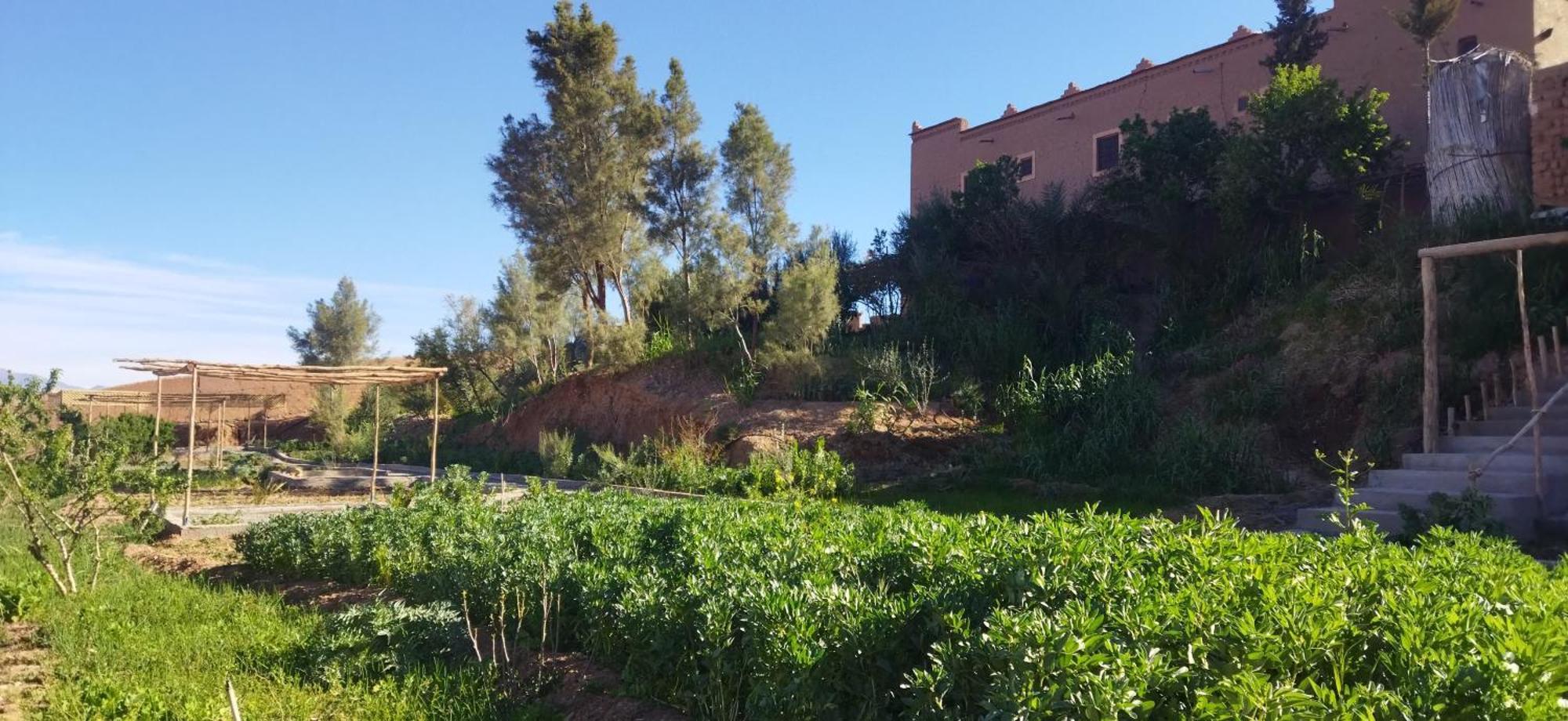 Maison D'Hotes Dar Panorama Skoura Exterior foto